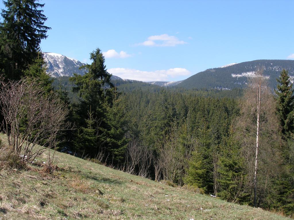 Pecka Penzion Pec pod Sněžkou Zewnętrze zdjęcie